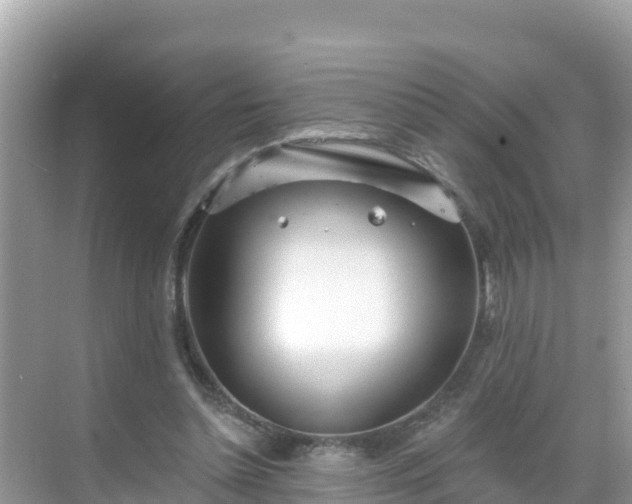 X0000068770348200605051637