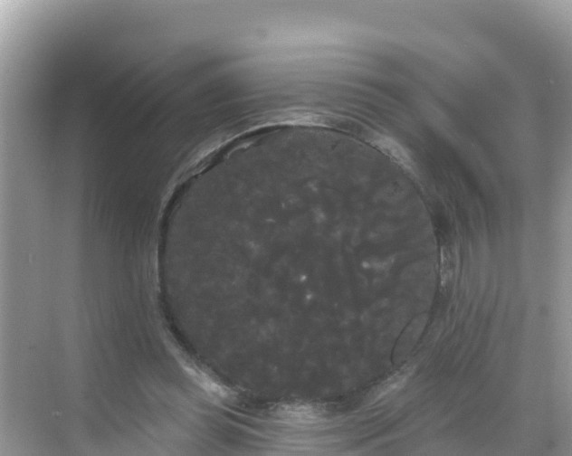 X0000068770349200605051637