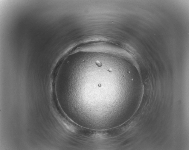 X0000068770350200605051637