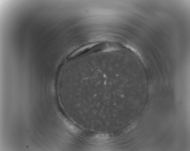 X0000068770353200605051637