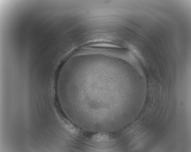 X0000068770354200605051637