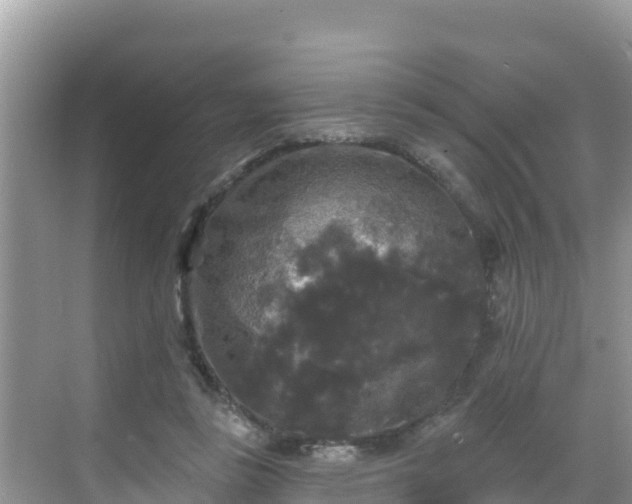 X0000068770355200605051637