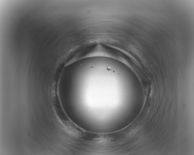 X0000068770356200605051637