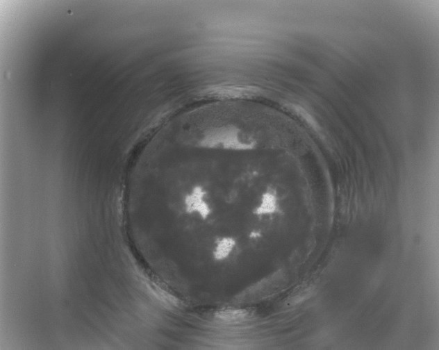 X0000068770357200605051637