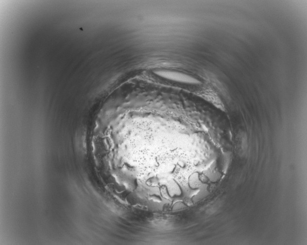 X0000068770358200605051637