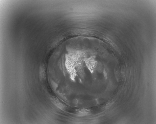 X0000068770359200605051637