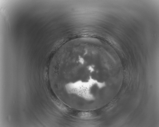 X0000068770361200605051637