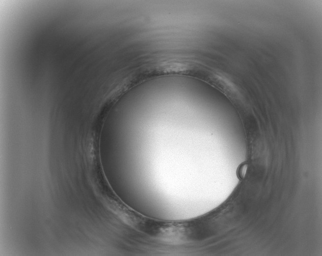 X0000068770362200605051637