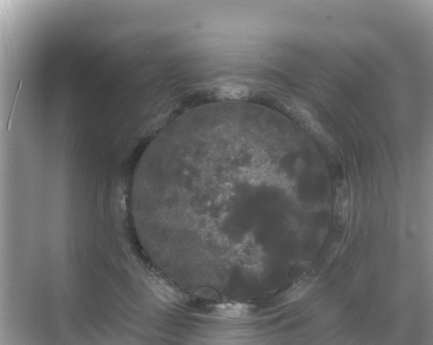 X0000068770363200605051638