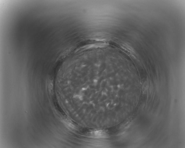 X0000068770365200605051638