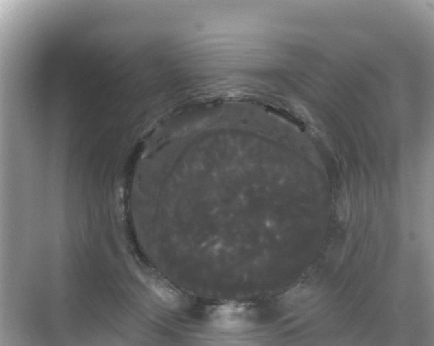 X0000068770366200605051638