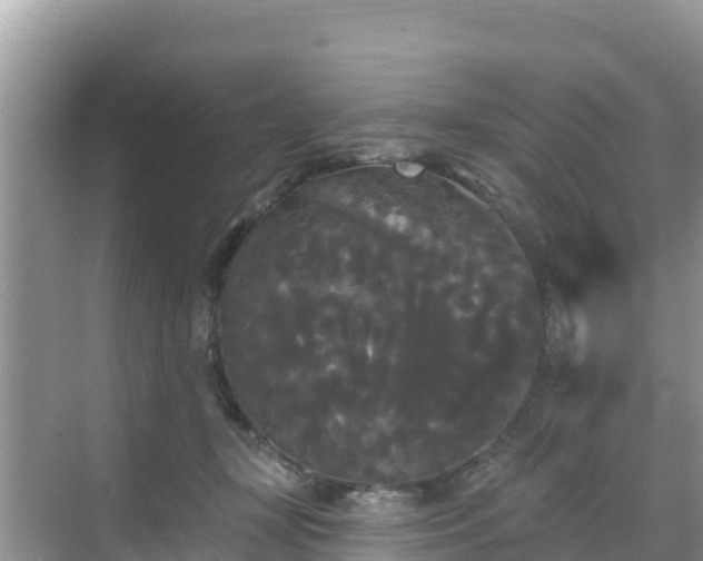 X0000068770367200605051638