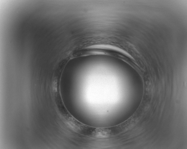 X0000068770368200605051638