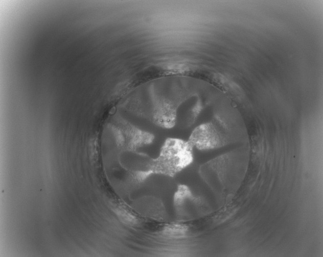 X0000068770369200605051638