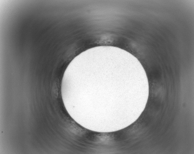 X0000068770370200605051638