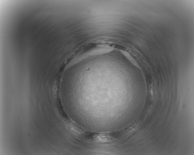 X0000068770372200605051638