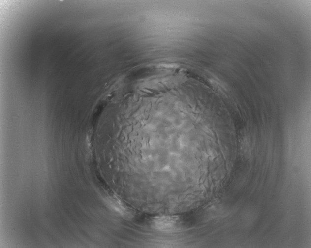 X0000068770373200605051638