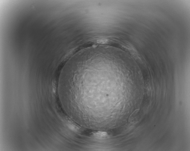 X0000068770374200605051638