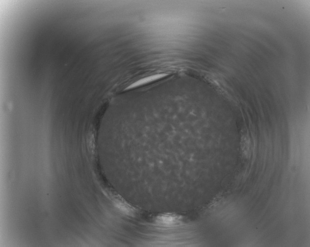 X0000068770375200605051638