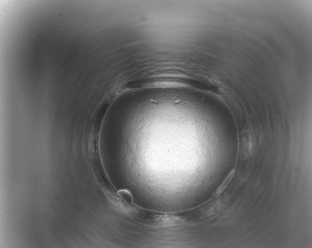 X0000068770379200605051638