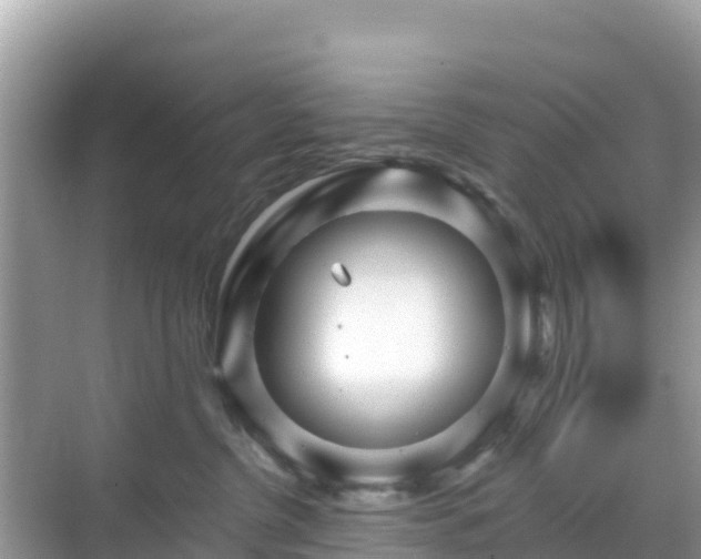 X0000068770380200605051638