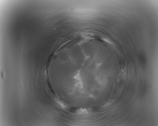 X0000068770381200605051638