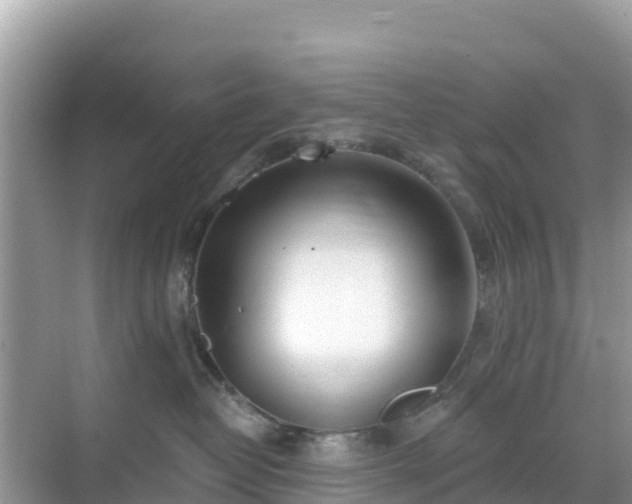 X0000068770382200605051638