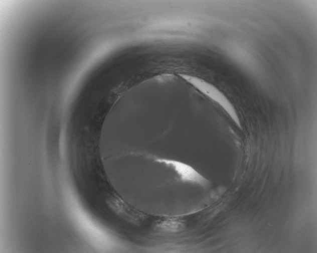 X0000068770383200605051638