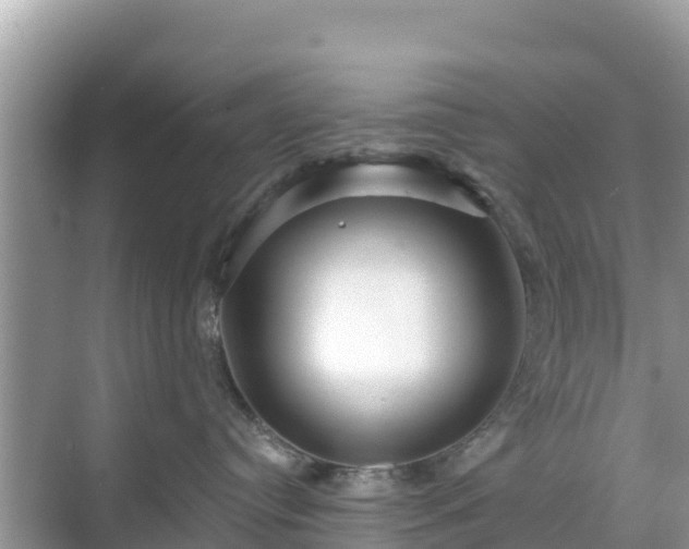 X0000068770384200605051638