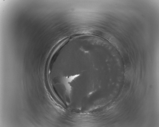 X0000068770386200605051637