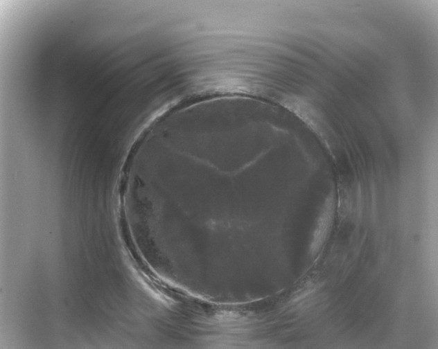 X0000068770390200605051637