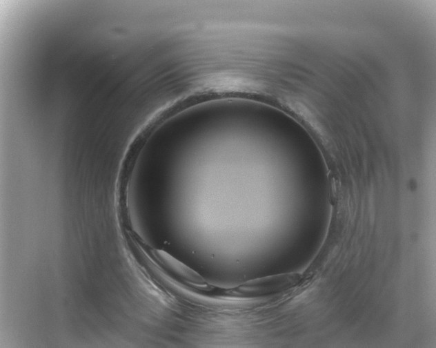 X0000068770391200605051637