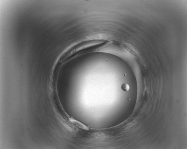 X0000068770392200605051637