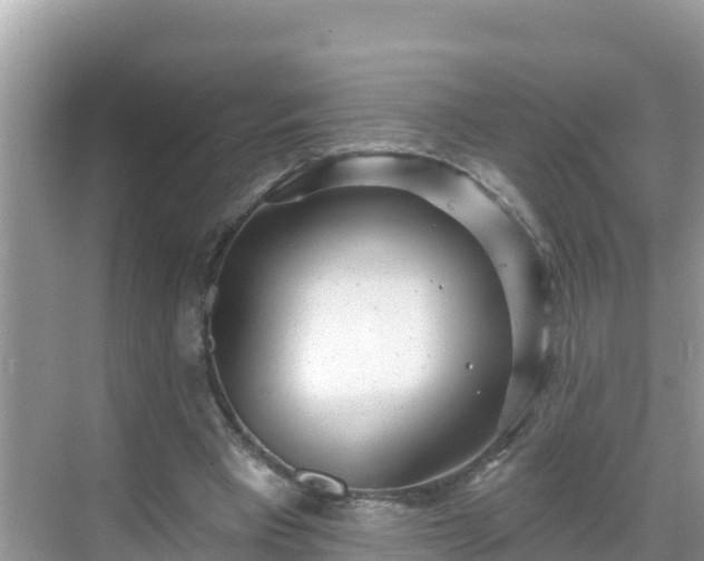 X0000068770393200605051637