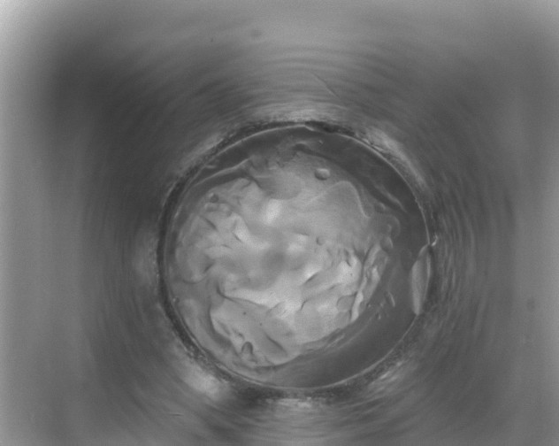 X0000068770394200605051637