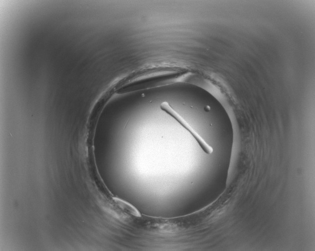 X0000068770395200605051637