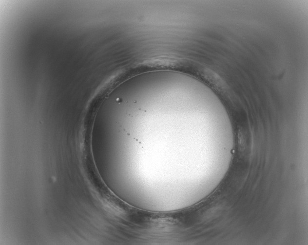 X0000068770396200605051637