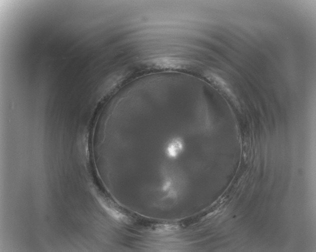 X0000068770398200605051637