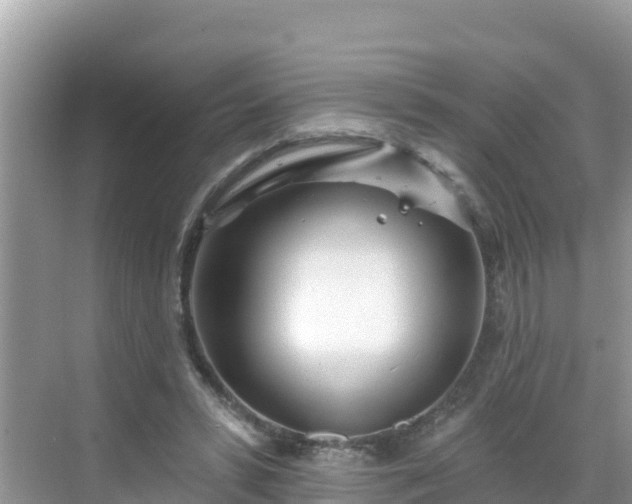 X0000068770399200605051637