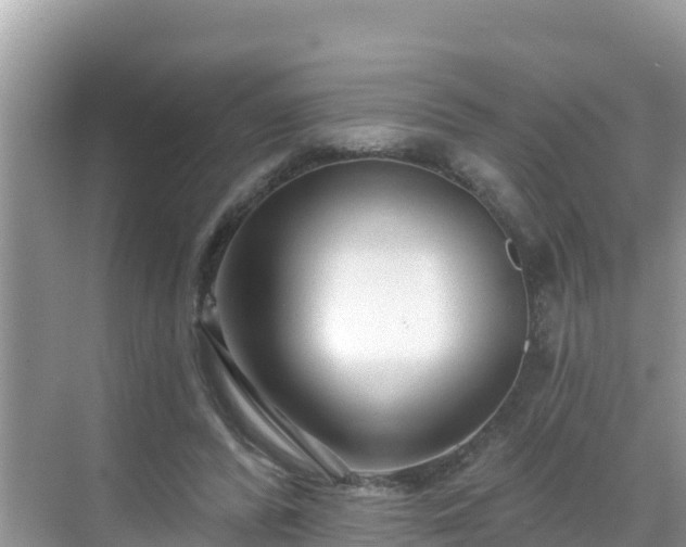 X0000068770400200605051637