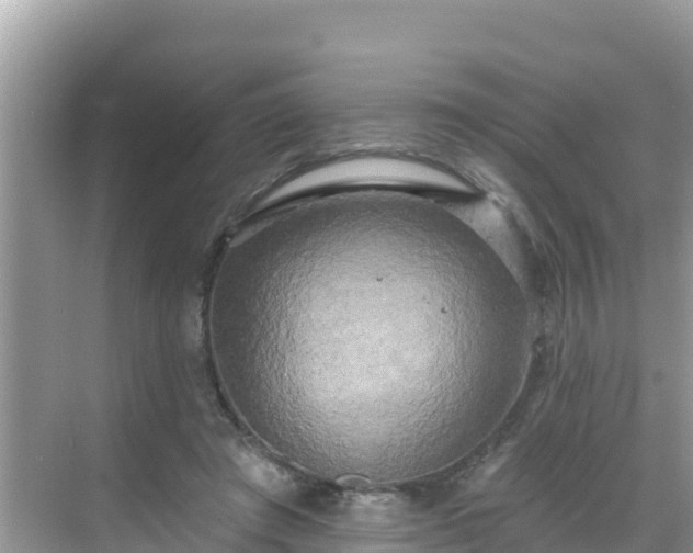 X0000068770401200605051637