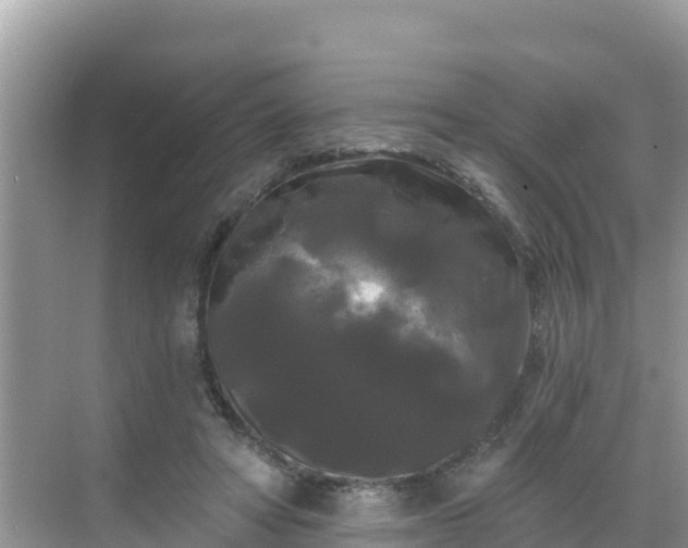 X0000068770402200605051637