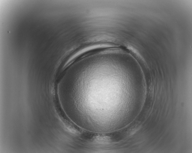 X0000068770403200605051637