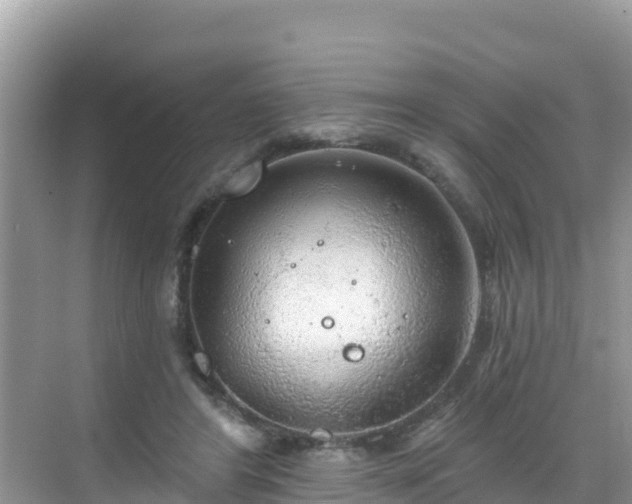 X0000068770404200605051637