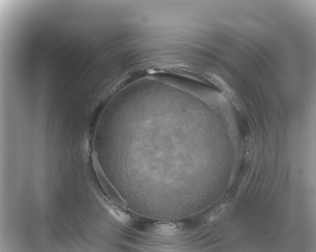 X0000068770405200605051637