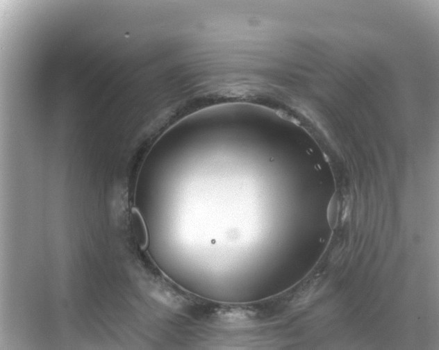 X0000068770407200605051637