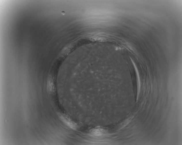 X0000068770408200605051637