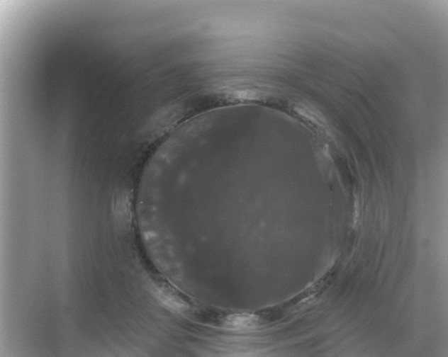 X0000068770410200605051637