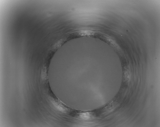 X0000068770411200605051637