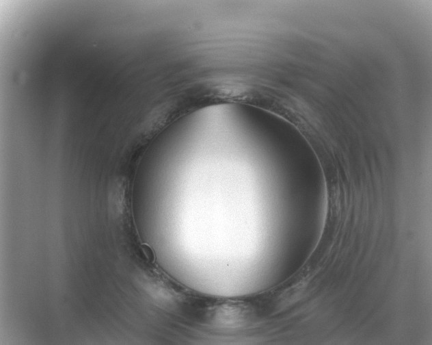 X0000068770412200605051637